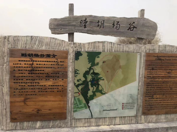 私拉電網非法狩獵并危及公共安全如何處理？上海請刑事辯護律師來回答