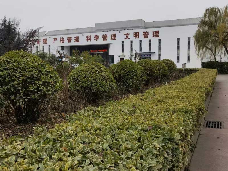 律師為何成為了刑事共犯？上海資深刑事律師帶您看看這個案件