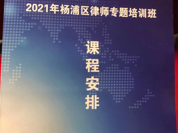 刑法條文中對于罪名的設置有哪些特點？黃浦刑事律師告訴您