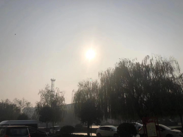 侵犯著作權罪的構成要件是什么？看看上海浦東刑事律師為您解答